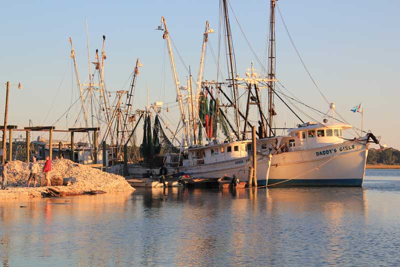 Commercial fishing boats docked along a waterfront at sunrise, reflecting on calm water in the South Carolina Lowcountry.