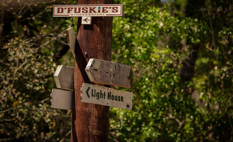 Wooden directional signs on Daufuskie Island pointing to local landmarks, surrounded by lush Lowcountry vegetation.