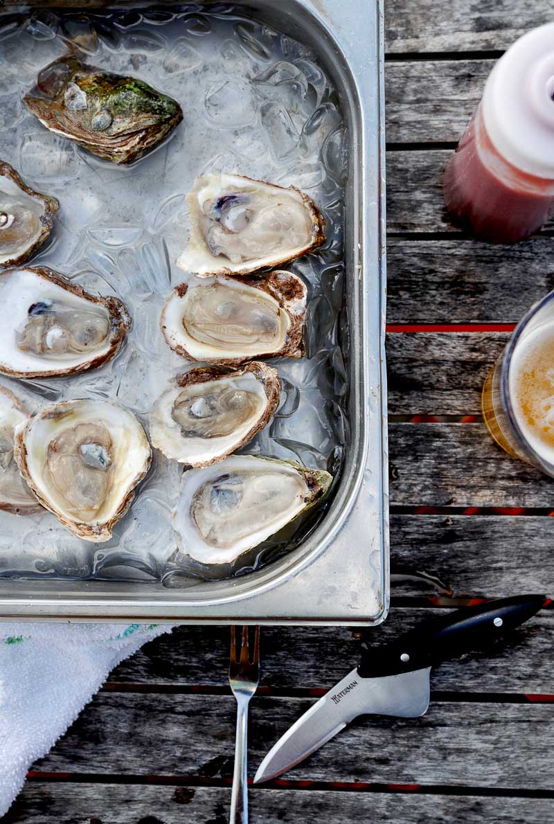 Oysters sitting on a picnic tbale over ice