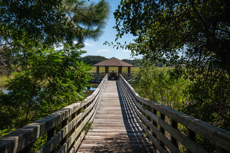 Wooden boardwalk leading through lush trees to a covered observation deck overlooking a scenic salt marsh under a clear blue sky.
